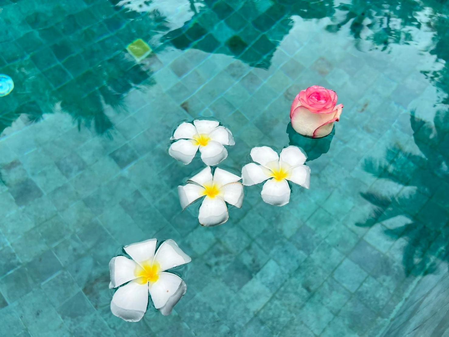 Chill Lay Resort Donsak Дон-Сак Экстерьер фото